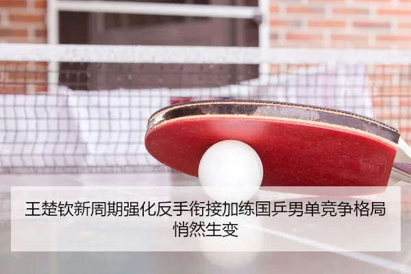 王楚钦新周期强化反手衔接加练国乒男单竞争格局悄然生变