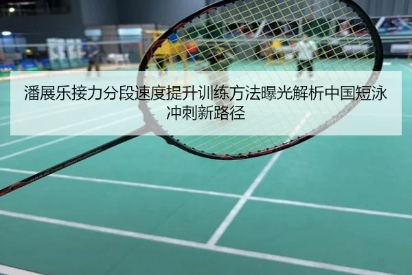 潘展乐接力分段速度提升训练方法曝光解析中国短泳冲刺新路径