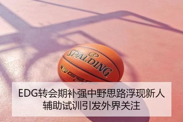EDG转会期补强中野思路浮现新人辅助试训引发外界关注